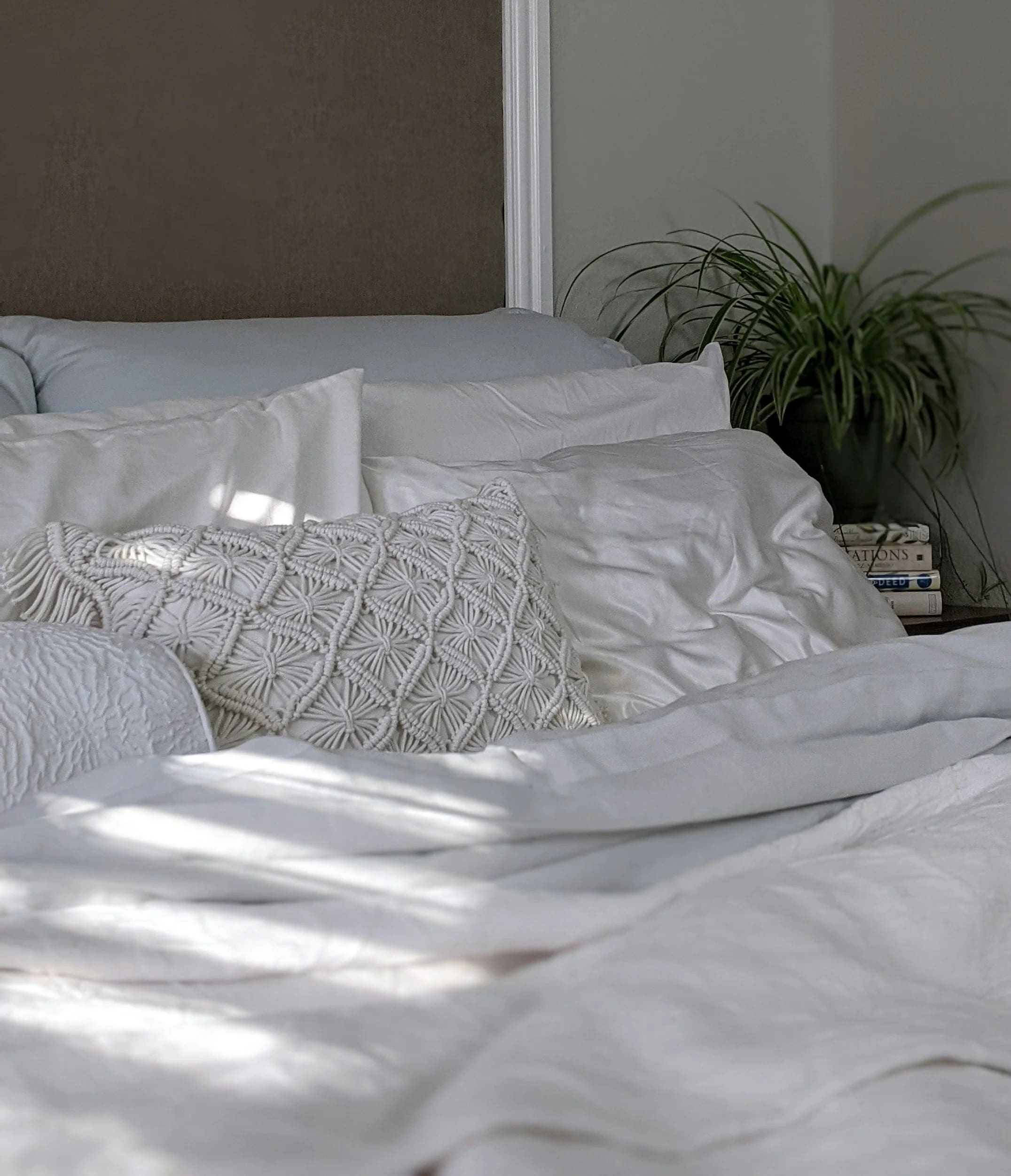 Unmade bed with white pillows and blankets, a potted plant, and stacked books on a bedside table in a softly lit bedroom.